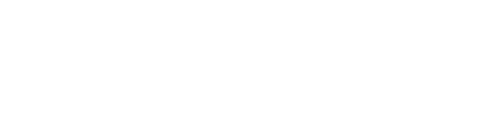 PKM TD logo 1 копия 2ц